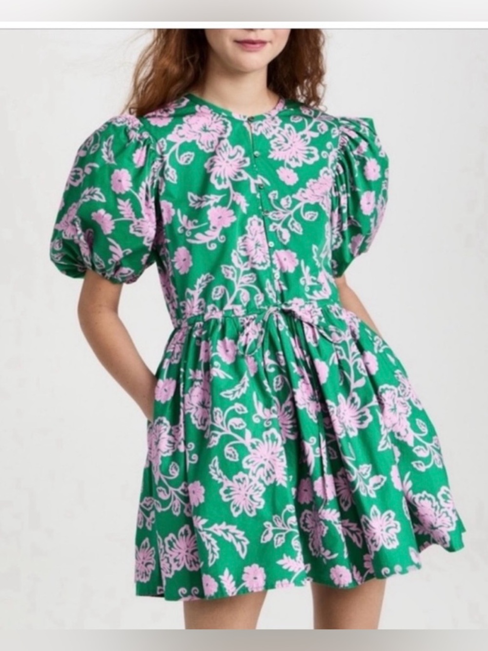 Xirena Puff Sleeve Mini Aurie Dress in Green and Pink Siza Small